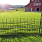 Home & Living > Outdoor & Gardening > Garden Decoration > Yard Art - Wrought Iron Vintage Fence Panel (95x37) Architectura...
