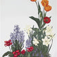 Art & Collectibles > Prints > Lithographs - Maryrose Wampler, Spring Bulbs, Signed Print, 28x22 Wall Art, Plate 26 by The...