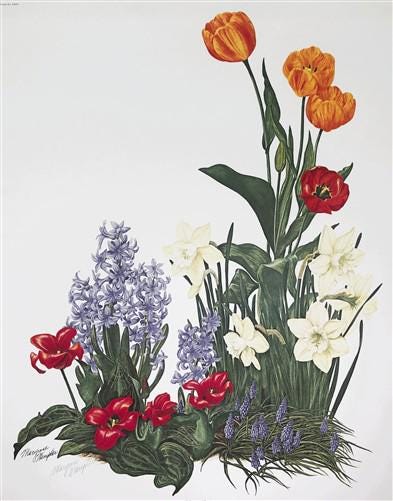 Art & Collectibles > Prints > Lithographs - Maryrose Wampler, Spring Bulbs, Signed Print, 28x22 Wall Art, Plate 26 by The...