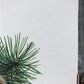 Art & Collectibles > Prints > Lithographs - Richard Timm, Lynx, Signed Print, 28x22 Wade Collection, Plate 27 by The Old G...