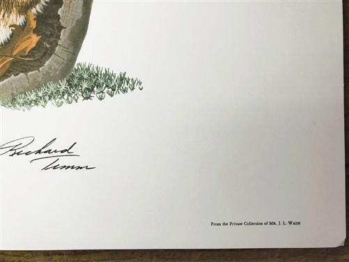 Art & Collectibles > Prints > Lithographs - Richard Timm, Red Fox, Signed Prints, 28x22 Wade Collection, Plate 1 by The Ol...
