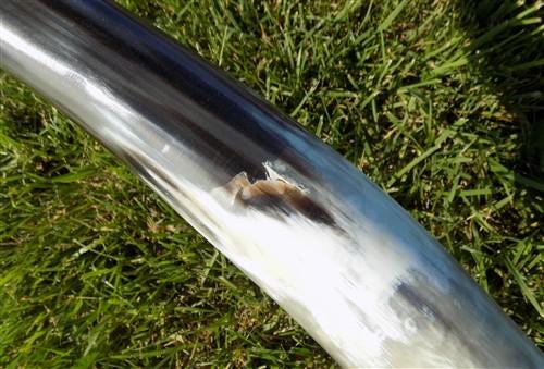 5'9" Longhorn Mounted Cattle Horns Steer Bull Western Texas Ranch Decor A11