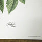 Richard Timm, Eastern Chipmunk, Signed Print, 28x22 Wade Collection, Plate 5