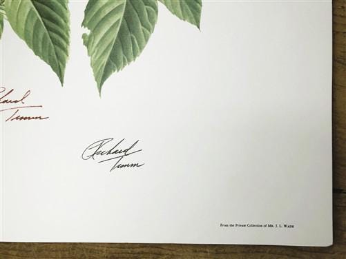 Richard Timm, Eastern Chipmunk, Signed Print, 28x22 Wade Collection, Plate 5