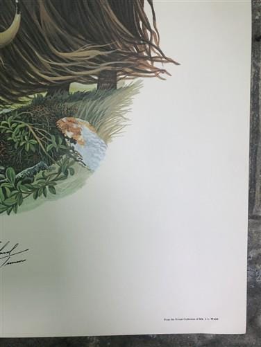 Art & Collectibles > Prints > Lithographs - Richard Timm, Musk Ox, Signed Print, 28x22 Wade Collection, Plate 40 by The Ol...