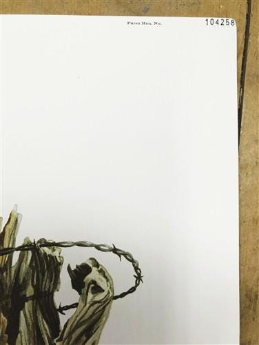 Art & Collectibles > Prints > Lithographs - Richard Timm, Badger, Signed Print, 28x22 Wade Collection, Plate 10 by The Old...