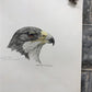 Art & Collectibles > Prints - Axel Amuchastegui, Argentine Eagle, Wildlife Art Print, Americana Art Print by The Old Grainery
