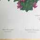 Art & Collectibles > Prints > Lithographs - Richard Sloan, Hummingbird, Signed Print, 28x22, Wade Collection, Plate 45 by...