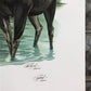 Art & Collectibles > Prints > Lithographs - Richard Timm, Alaska Moose, Signed Print, 28x22 Wade Collection, Plate 18 by T...