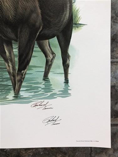 Art & Collectibles > Prints > Lithographs - Richard Timm, Alaska Moose, Signed Print, 28x22 Wade Collection, Plate 18 by T...