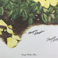 Art & Collectibles > Prints > Lithographs - Maryrose Wampler, Single Yellow Rose, Signed Print, 28x22, Wall Art, Plate 7 b...