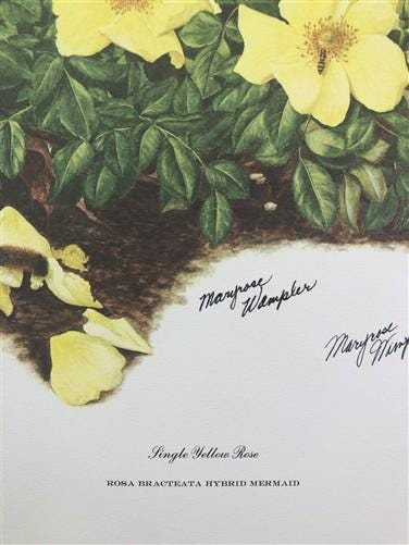 Art & Collectibles > Prints > Lithographs - Maryrose Wampler, Single Yellow Rose, Signed Print, 28x22, Wall Art, Plate 7 b...