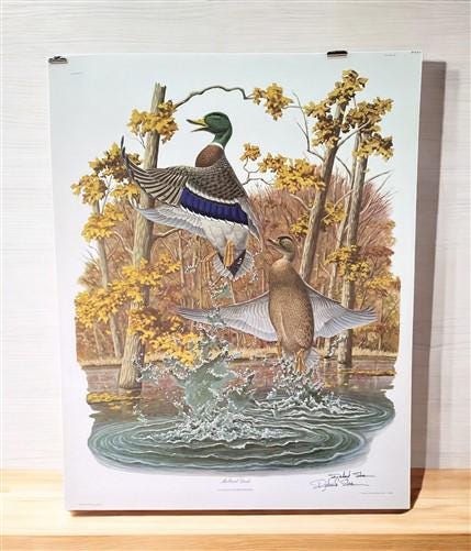 Art & Collectibles > Prints > Lithographs - Richard Sloan, Mallard Duck, Signed Print, 28x22, Wade Collection, Plate 5 by...