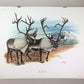 Art & Collectibles > Prints > Lithographs - Richard Timm, Ground Caribou, Signed Print, 28x22 Wade Collection, Plate 36 by...
