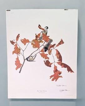 Art & Collectibles > Prints > Lithographs - Richard Sloan, Black Capped Chickadee Signed Print 28x22 Wade Collection Plate...