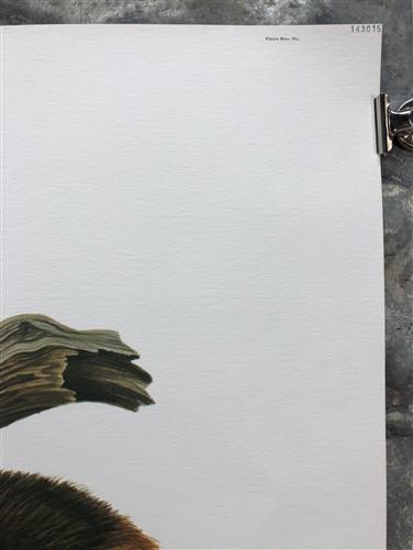 Art & Collectibles > Prints > Lithographs - Richard Timm, Wolverine, Signed Print, 28x22 Wade Collection, Plate 14 by The...
