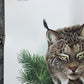 Art & Collectibles > Prints > Lithographs - Richard Timm, Lynx, Signed Print, 28x22 Wade Collection, Plate 27 by The Old G...