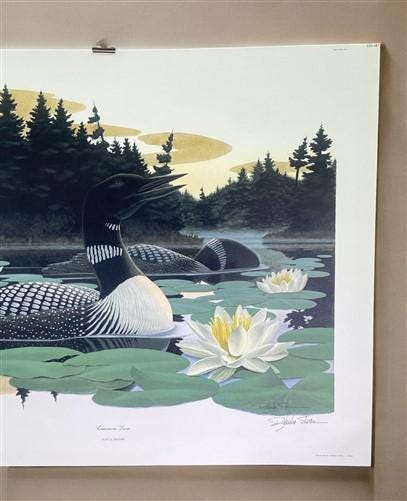 Art & Collectibles > Prints > Lithographs - Richard Sloan, Common Loon, Signed Print, 28x22, Wade Collection, Plate 29 by...