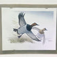 Art & Collectibles > Prints > Lithographs - Richard Sloan, Canvasback, Signed Print, 28x22, Wade Collection, Plate 38 by T...