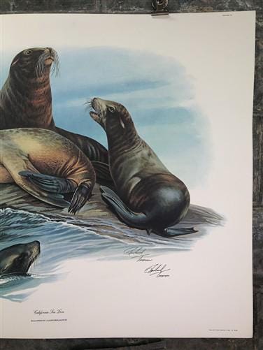 Art & Collectibles > Prints > Lithographs - Richard Timm, California Sea Lion, Signed Print, 28x22 Wade Collection, Plate...