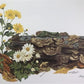 Art & Collectibles > Prints > Lithographs - Maryrose Wampler, Daisy Mum, Signed Print, 28x22 Wall Art, Plate 4 by The Old...