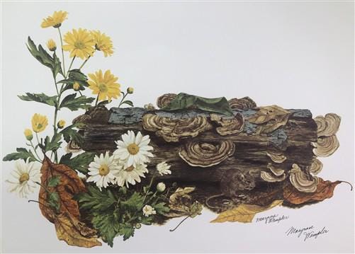 Art & Collectibles > Prints > Lithographs - Maryrose Wampler, Daisy Mum, Signed Print, 28x22 Wall Art, Plate 4 by The Old...