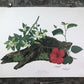 Art & Collectibles > Prints > Lithographs - Maryrose Wampler, Hibiscus Orange Blossom, Signed Print, 28x22 Wall Art, Plate...