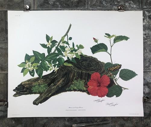 Art & Collectibles > Prints > Lithographs - Maryrose Wampler, Hibiscus Orange Blossom, Signed Print, 28x22 Wall Art, Plate...