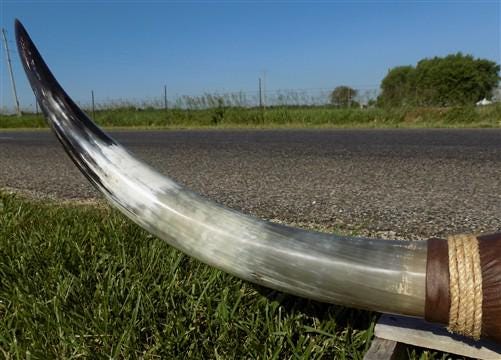 5'9" Longhorn Mounted Cattle Horns Steer Bull Western Texas Ranch Decor A11