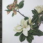 Art & Collectibles > Prints > Lithographs - Maryrose Wampler, Magnolia, Signed Print, 28x22 Wall Art, Plate 12 by The Old...