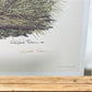 Art & Collectibles > Prints > Lithographs - Richard Sloan, Eastern Bluebird, Signed Print, 28x22, Wade Collection, Plate 2...