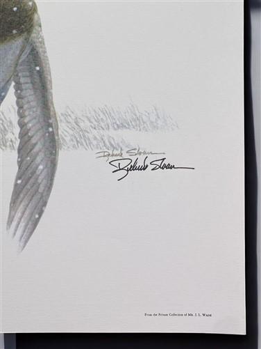 Art & Collectibles > Prints > Lithographs - Richard Sloan, Canvasback, Signed Print, 28x22, Wade Collection, Plate 38 by T...