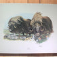 Art & Collectibles > Prints > Lithographs - Richard Timm, Musk Ox, Signed Print, 28x22 Wade Collection, Plate 40 by The Ol...