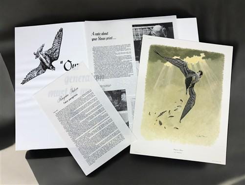 Art & Collectibles > Prints > Lithographs - Richard Sloan, Peregrine Falcon, Signed Print, 11x14, Essay, Sketches, Plate 1...