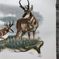 Art & Collectibles > Prints > Lithographs - Richard Timm, Pronghorn, Signed Print, 28x22 Wade Collection, Plate 13 by The...