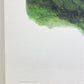 Art & Collectibles > Prints > Lithographs - Richard Sloan, Brown Thrasher, Signed Print, 28x22, Wade Collection, Plate 22...
