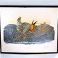Art & Collectibles > Prints > Lithographs - Richard Sloan, Prairie Chicken, Signed Print, 28x22, Wade Collection, Plate 11...