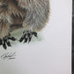 Art & Collectibles > Prints > Lithographs - Richard Timm, Hoary Marmot, Signed Print, 28x22 Wade Collection, Plate 33 by T...