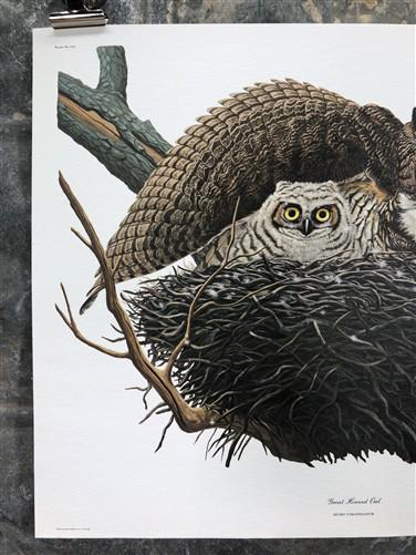 Art & Collectibles > Prints > Lithographs - Richard Sloan, Great Horned Owl, Signed Print, 11x14, Essay, Sketches, Plate 7...