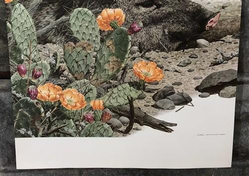 Art & Collectibles > Prints - Axel Amuchastegui, Peccary, 20.75x14 South American Wildlife Art Print M by The Old Grainery...