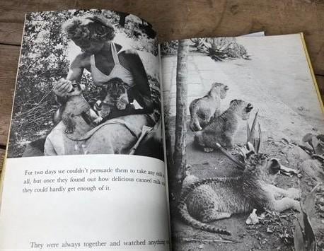 1947-1978 Book Lot, Railroad Trains Buses 40s Seneca Missouri Yearbooks, A