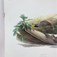 Richard Sloan, California Quail, Signed Print, 28x22, Wade Collection, Plate 27