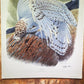 Art & Collectibles > Prints > Lithographs - Richard Sloan, Snowy Owl, Signed Print, 28x22, Wade Collection, Plate 30 by Th...