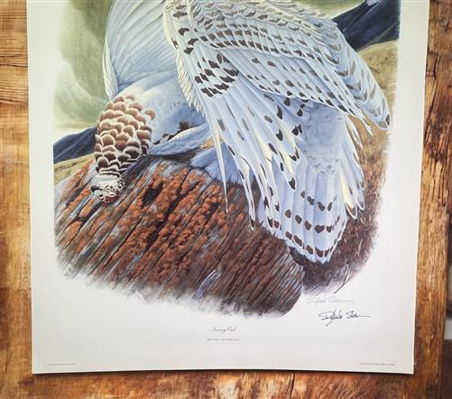 Art & Collectibles > Prints > Lithographs - Richard Sloan, Snowy Owl, Signed Print, 28x22, Wade Collection, Plate 30 by Th...