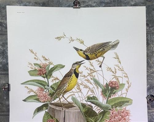 Art & Collectibles > Prints > Lithographs - Richard Sloan, Meadowlark, Signed Print, 28x22, Wade Collection, Plate 24 by T...