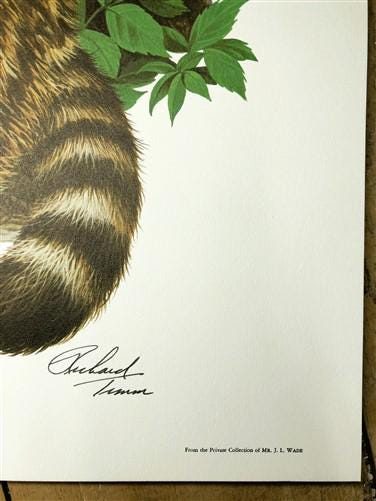 Art & Collectibles > Prints > Lithographs - Richard Timm, Racoon, Signed Prints, 28x22 Wade Collection, Plate 2 by The Old...