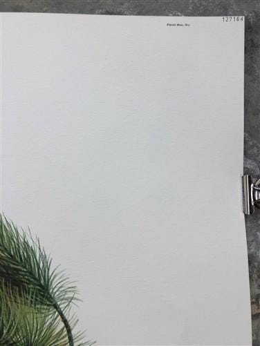 Art & Collectibles > Prints > Lithographs - Richard Timm, Mountain Lion, Signed Print, 28x22 Wade Collection, Plate 12 by...