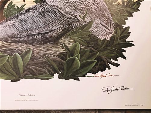 Richard Sloan, Brown Pelican, Signed Print, 28x22, Wade Collection, Plate 17