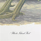 Art & Collectibles > Prints > Lithographs - Richard Sloan, Rhode Island Red, Signed Print, 28x22, Wade Collection, Plate 5...