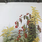 Art & Collectibles > Prints > Lithographs - Maryrose Wampler, Goldenrod, Signed Print, 28x22 Wall Art, Plate 13 by The Old...